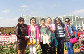 Stake(中国区)官方网站