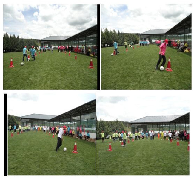 Stake(中国区)官方网站