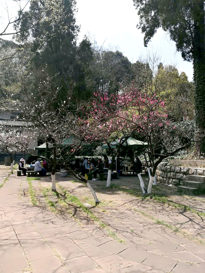 Stake(中国区)官方网站