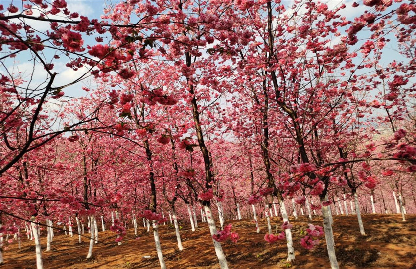 Stake(中国区)官方网站