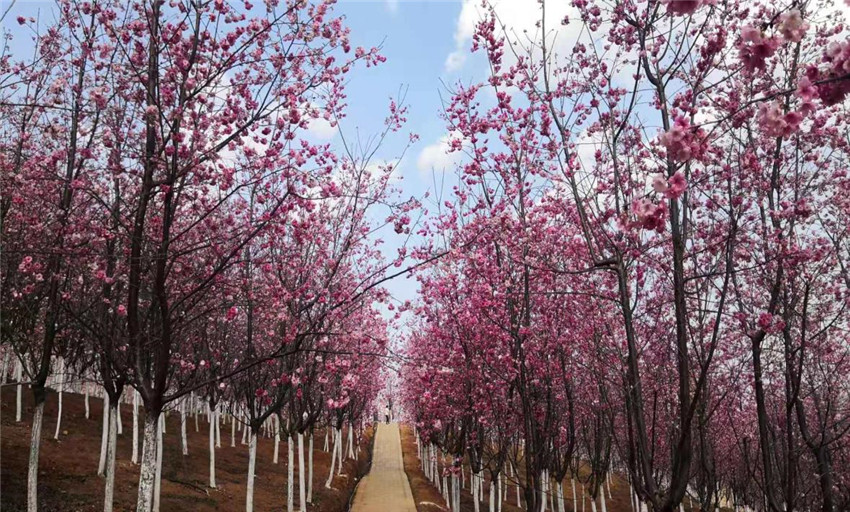 Stake(中国区)官方网站